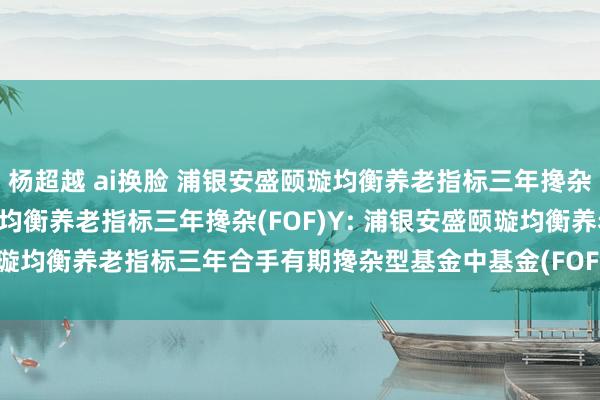 杨超越 ai换脸 浦银安盛颐璇均衡养老指标三年搀杂(FOF)A,浦银安盛颐璇均衡养老指标三年搀杂(FOF)Y: 浦银安盛颐璇均衡养老指标三年合手有期搀杂型基金中基金(FOF)基金司理变更公告