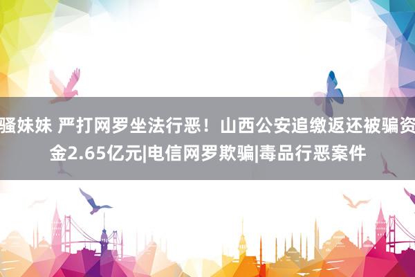 骚妹妹 严打网罗坐法行恶！山西公安追缴返还被骗资金2.65亿元|电信网罗欺骗|毒品行恶案件