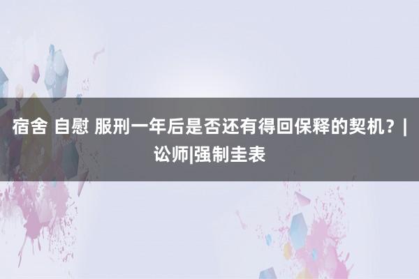 宿舍 自慰 服刑一年后是否还有得回保释的契机？|讼师|强制圭表