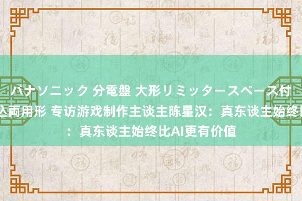 パナソニック 分電盤 大形リミッタースペース付 露出・半埋込両用形 专访游戏制作主谈主陈星汉：真东谈主始终比AI更有价值
