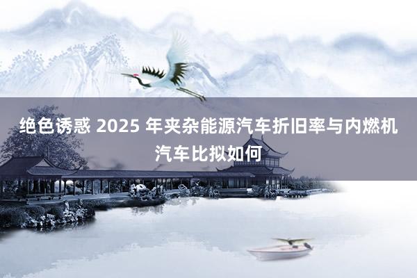 绝色诱惑 2025 年夹杂能源汽车折旧率与内燃机汽车比拟如何