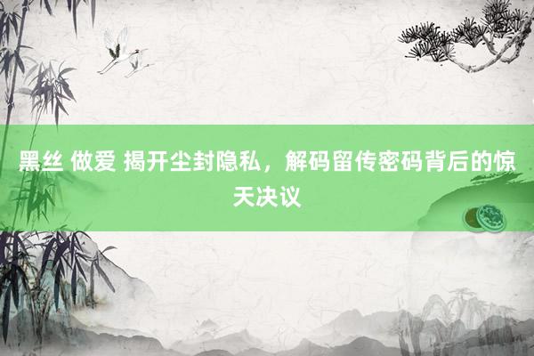 黑丝 做爱 揭开尘封隐私，解码留传密码背后的惊天决议