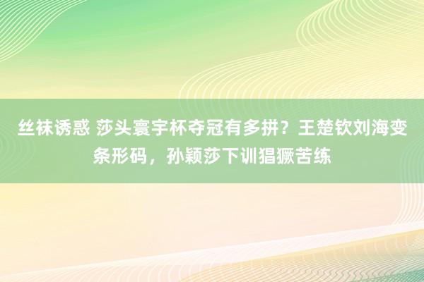 丝袜诱惑 莎头寰宇杯夺冠有多拼？王楚钦刘海变条形码，孙颖莎下训猖獗苦练