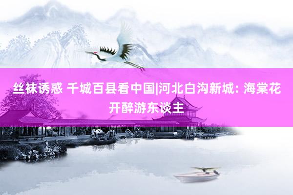 丝袜诱惑 千城百县看中国|河北白沟新城: 海棠花开醉游东谈主