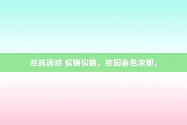 丝袜诱惑 似锦似锦，校园春色浓郁。