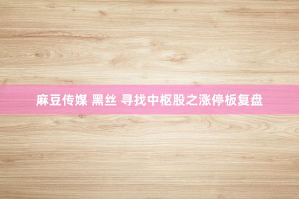 麻豆传媒 黑丝 寻找中枢股之涨停板复盘